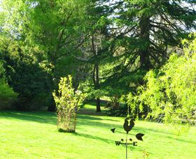 Lyrebird Cottage - Hervey Bay Accommodation 5