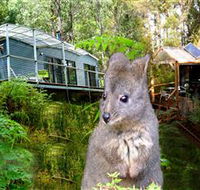 Huon Bush Retreats - Hervey Bay Accommodation
