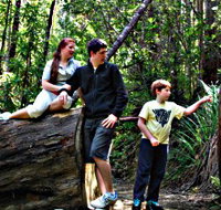 Tahune Airwalk Lodge - Tourism Hervey Bay