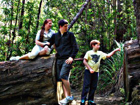 Tahune Airwalk Lodge - Hervey Bay Accommodation 0