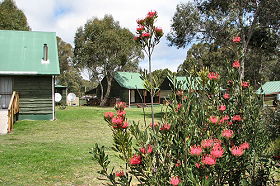 Derwent Bridge Chalets & Studios - Hervey Bay Accommodation 0
