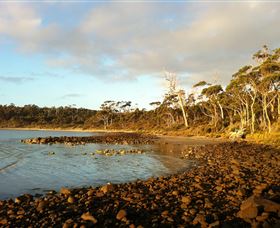 Bruny Island Experience - Hervey Bay Accommodation 4