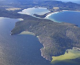 Bruny Island Experience - Hervey Bay Accommodation 5