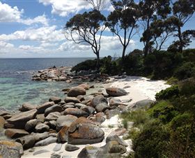 Lake Eckersley Campground - Hervey Bay Accommodation 2