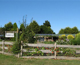 Blueberry B & B - Hervey Bay Accommodation 1