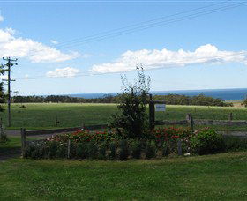 Blueberry B & B - Hervey Bay Accommodation 0