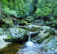 Tarkine Wilderness Experience at Corinna - Hervey Bay Accommodation