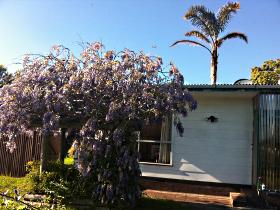 North East Apartments - Hervey Bay Accommodation 1