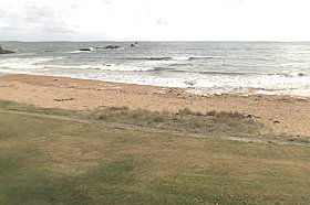 Penguin Caravan Park - Hervey Bay Accommodation 0