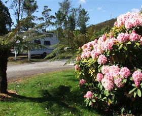 Zeehan Bush Camp  And Caravan Park - Hervey Bay Accommodation 0