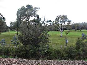 Bicheno Holiday Rentals - Hazards View Drive Coles Bay - Hervey Bay Accommodation 1