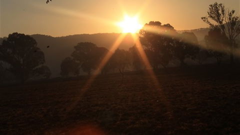 Gentle Annie Caravan And Camping Reserve - Hervey Bay Accommodation 1
