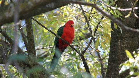 Gentle Annie Caravan And Camping Reserve - Hervey Bay Accommodation 2