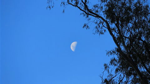 Gentle Annie Caravan And Camping Reserve - Hervey Bay Accommodation 4