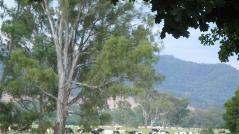 Gentle Annie Caravan And Camping Reserve - Hervey Bay Accommodation 3