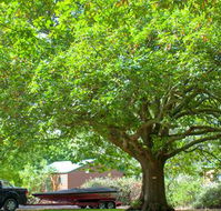 Lakes and Craters Holiday Park - Hervey Bay Accommodation