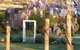 Stableford House Bed & Breakfast - thumb 5