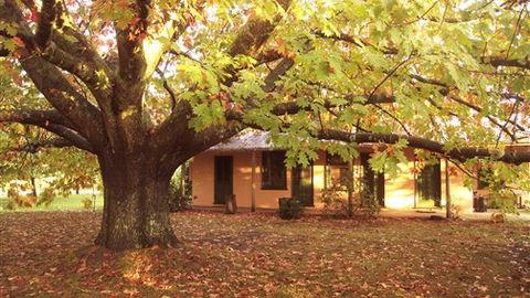 Delatite Station - Hervey Bay Accommodation 3