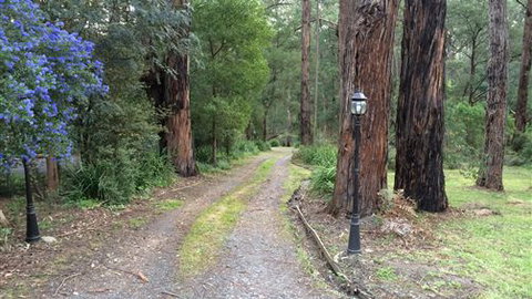 Wattle Tree Creek Cottages - Tourism Hervey Bay 5