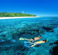 Lady Elliot Island Eco Resort - Day Trip - Hervey Bay Accommodation