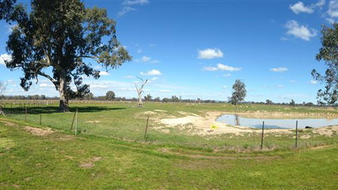 Twin Palms Cottage - Hervey Bay Accommodation 6