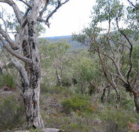 The Glen - Hervey Bay Accommodation