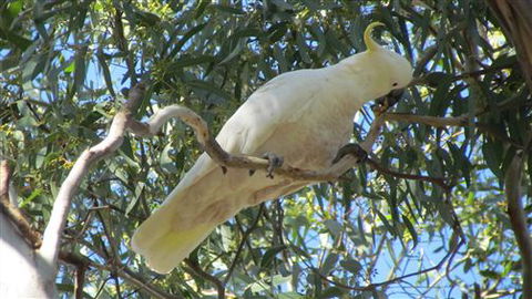 River Gardens Bed And Breakfast Farmstay - Hervey Bay Accommodation 1