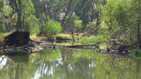River Gardens Bed And Breakfast Farmstay - Hervey Bay Accommodation 2
