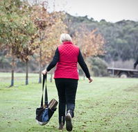 Black Cat Cottage - Hervey Bay Accommodation