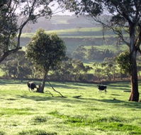 Bellevue Farmstay - Hervey Bay Accommodation