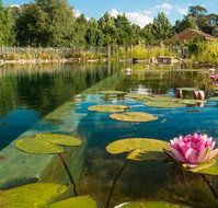 Planetrees Estate  - Hervey Bay Accommodation