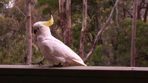 Heavenly Retreat - Hervey Bay Accommodation 5