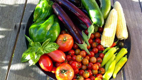 Griffins Hill Retreat - Hervey Bay Accommodation 1