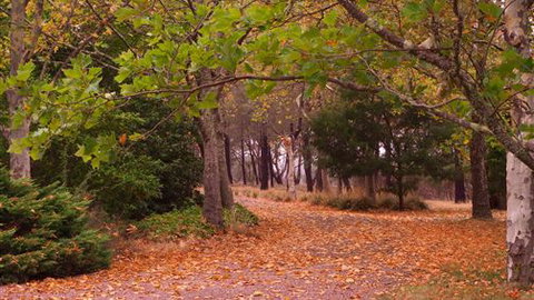 Griffins Hill Retreat - Hervey Bay Accommodation 5