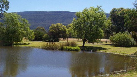 Halls Haven Resort - Hervey Bay Accommodation 4