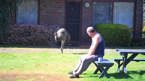 Halls Haven Resort - Hervey Bay Accommodation 7