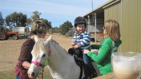 Cabarita Lodge - Hervey Bay Accommodation 2
