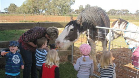 Cabarita Lodge - Hervey Bay Accommodation 4