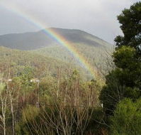 Wattletree Cottage - Hervey Bay Accommodation