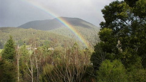 Wattletree Cottage - Hervey Bay Accommodation 0