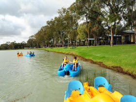 BIG4 Renmark Riverfront Holiday Park - Hervey Bay Accommodation 1