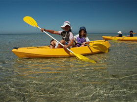 Ceduna Shelly Beach Caravan Park And Beachfront Villas - Tourism Hervey Bay 3