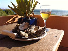 Ceduna Shelly Beach Caravan Park And Beachfront Villas - Tourism Hervey Bay 4