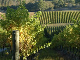 Cudlee Creek SA Hervey Bay Accommodation