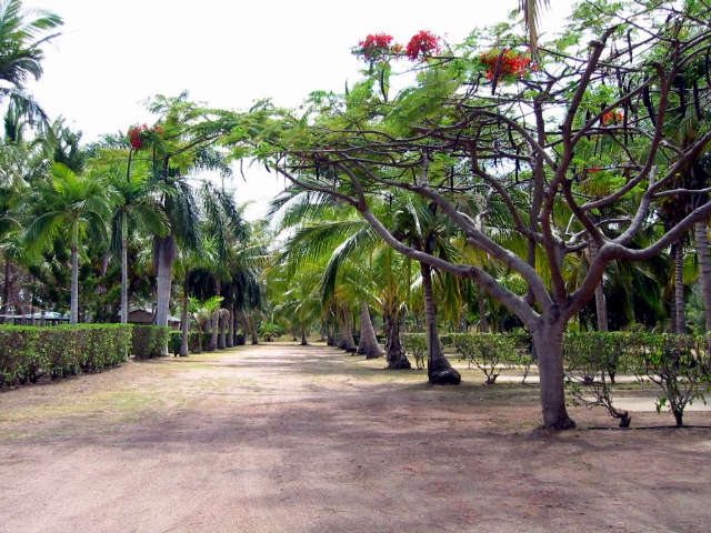 Alva QLD Hervey Bay Accommodation