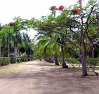 Alva Beach Tourist Park - Tourism Hervey Bay