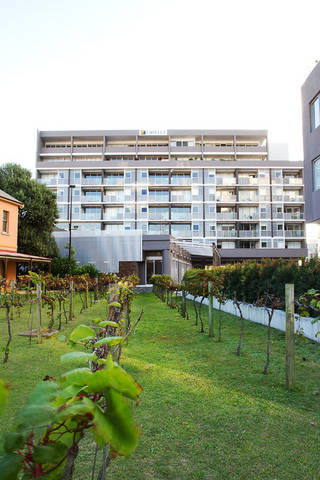 B7 Honeysuckle Apartments - Hervey Bay Accommodation 1