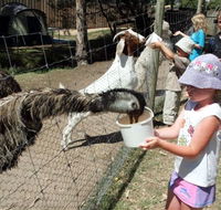 BIG4 Bairnsdale Holiday Park - Hervey Bay Accommodation