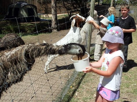 BIG4 Bairnsdale Holiday Park - Hervey Bay Accommodation 0
