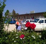 Boerbuck Country Motel  Host Farm - Hervey Bay Accommodation